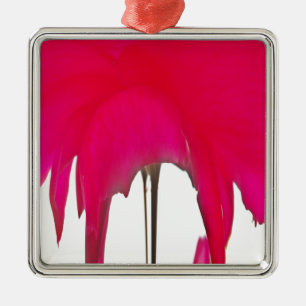 Beautiful amazing Red rose under the white sky Metal Ornament