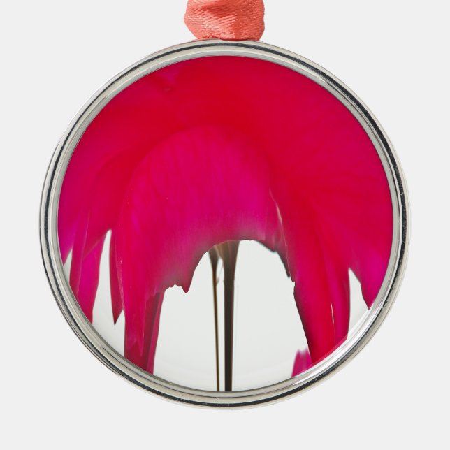 Beautiful amazing Red rose under the white sky Metal Ornament (Front)