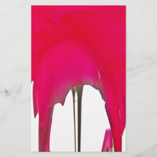 Beautiful amazing Red rose under the white sky Stationery