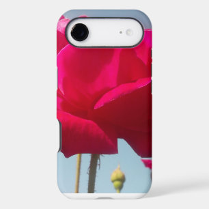 Beautiful Amazing Rose For the Bride