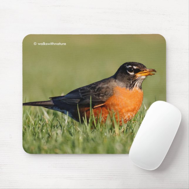 Beautiful American Robin in Winter Grass Mouse Pad (With Mouse)