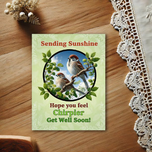 Beautiful American Tree Sparrows Get Well Postcard
