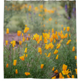 beautiful and fragrant wildflowers growing in tucs
