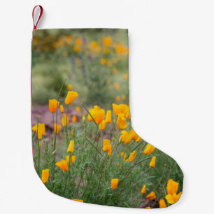 beautiful and fragrant wildflowers growing in tucs small christmas stocking