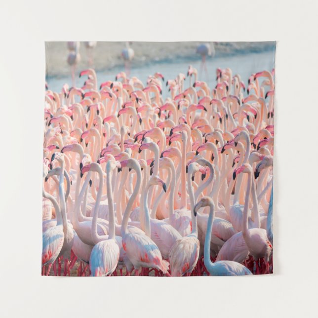 Beautiful and Wild - Flamingosflock,greater,pink,d Tapestry (Front)