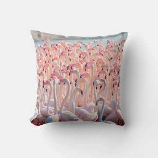 Beautiful and Wild - Flamingosflock,greater,pink,d Throw Pillow