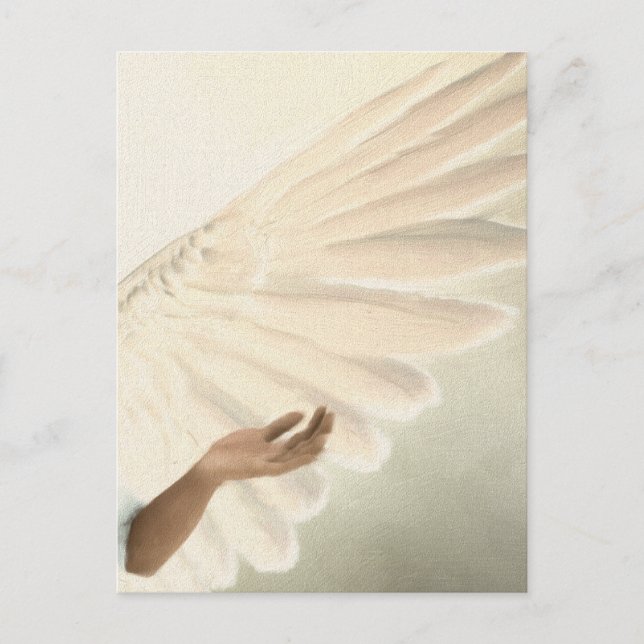 Beautiful Angel Wings - Caring & Calm Postcard (Front)