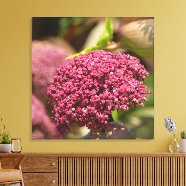 Beautiful Angelica Flower  Canvas Print (Insitu(LivingRoom))