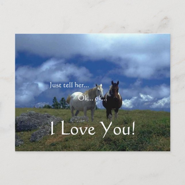 Beautiful Animal Cards (Front)