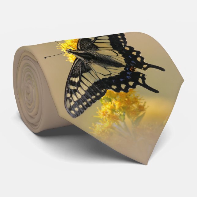 Beautiful Anise Swallowtail Butterfly in the Sun Tie (Rolled)
