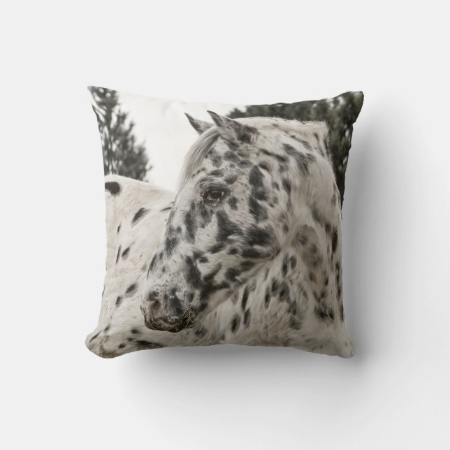 Beautiful Appaloosa Horse, Western Throw Pillow (Front)
