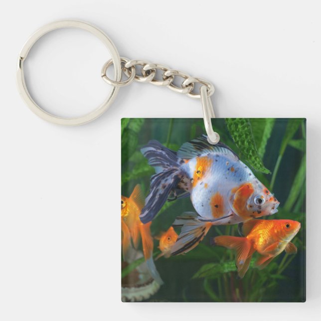 Beautiful Aquarium Fish Tank Keychain (Front)