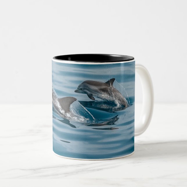 Beautiful Aquatic Dolphins Two-Tone Coffee Mug (Front Right)