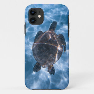 Beautiful Aquatic Turtle   Best gift for sea life iPhone 11 Case