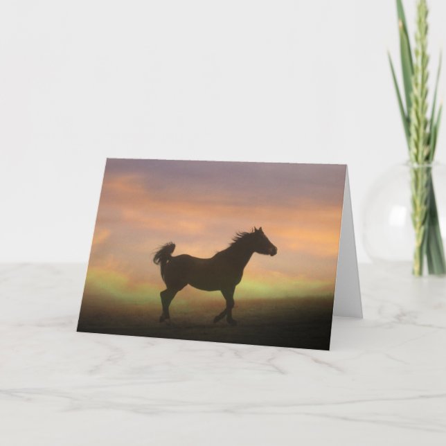 Beautiful Arabian Horse In Sunrise Note Card (Front)