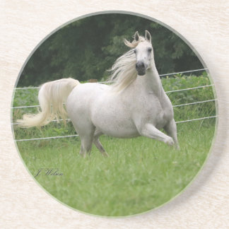 Beautiful Arabian Mare Coaster - 2