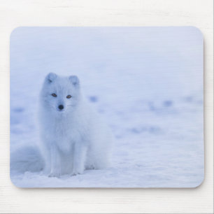Beautiful Arctic Fox Mouse Pad