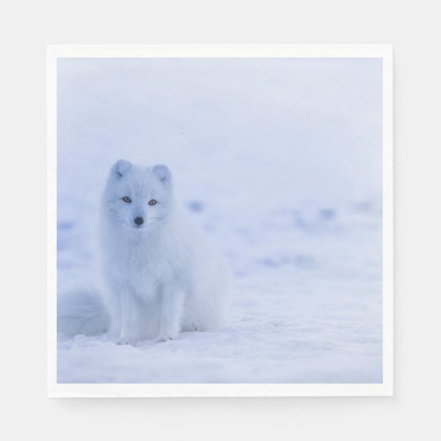 Beautiful Arctic Fox Napkin (Front)