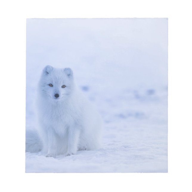 Beautiful Arctic Fox Notepad (Front)