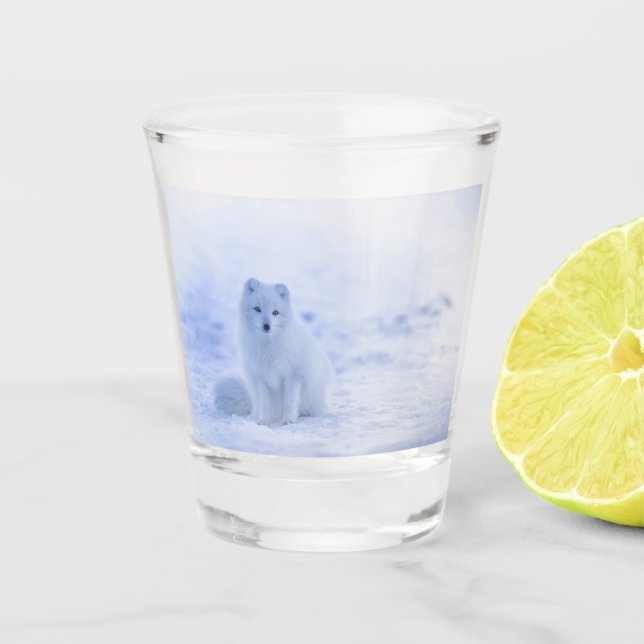 Beautiful Arctic Fox Shot Glass (Front)