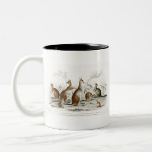 Beautiful Aroe Kangaroo, Parry's Kangaroo Two-Tone Coffee Mug