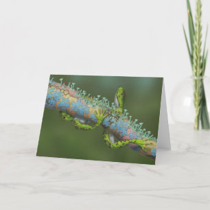 Beautiful Artistic Greeting Card - Nature Fantasy