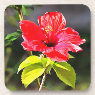 Beautiful Artistic Red Tropical Hibiscus Flower Coaster