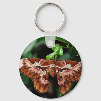 Beautiful Atlas Moth Keychain