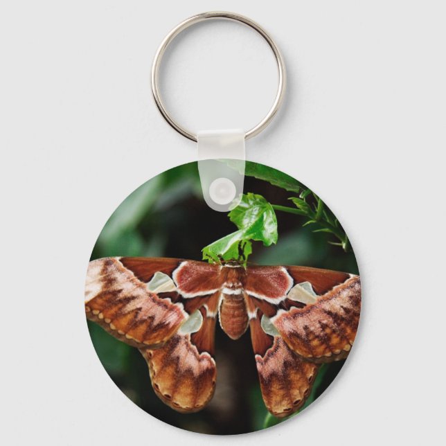 Beautiful Atlas Moth Keychain (Front)