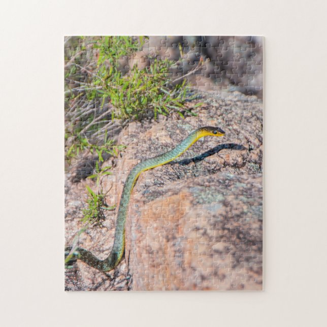 Beautiful Australian Green Tree Snake, 252 pieces Jigsaw Puzzle (Vertical)