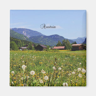 Beautiful Austria Magnet