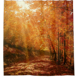 Beautiful autumn