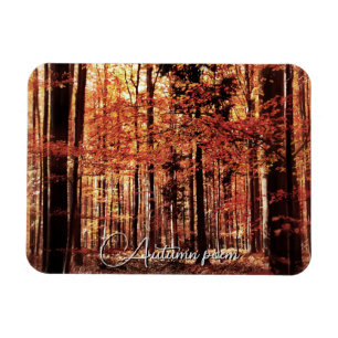 Beautiful autumn forest magnet