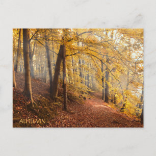 Beautiful Autumn Forest Postcard