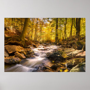 Beautiful Autumn Forest Poster
