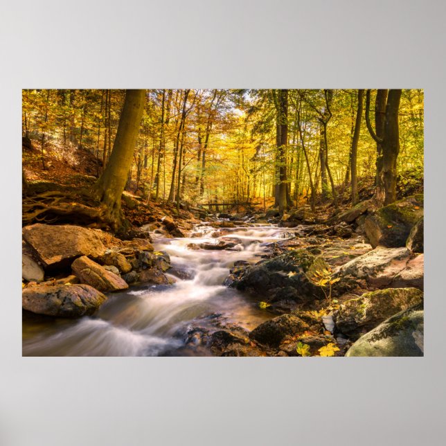 Beautiful Autumn Forest Poster (Front)