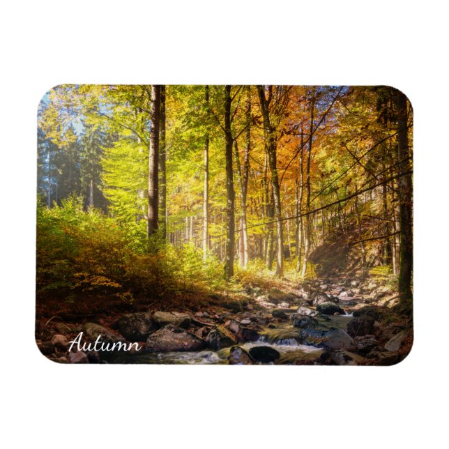 Beautiful Autumn Forest with river Magnet (Horizontal)
