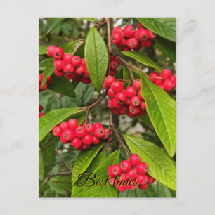 Beautiful autumn fruits hello card