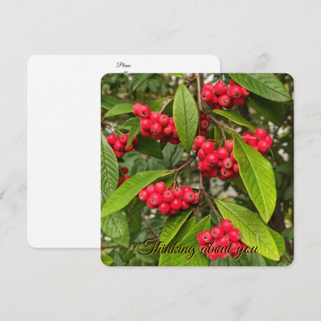 Beautiful autumn fruits hello card (Front/Back)