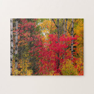 Beautiful Autumn in Canada. Jigsaw Puzzle