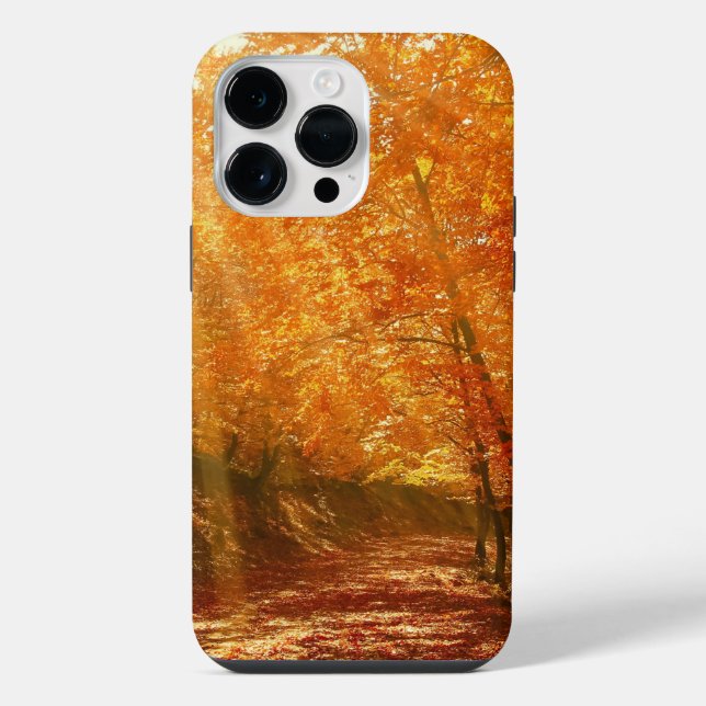 Beautiful autumn iPhone case (Back)