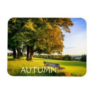 Beautiful Autumn Landscape Magnet