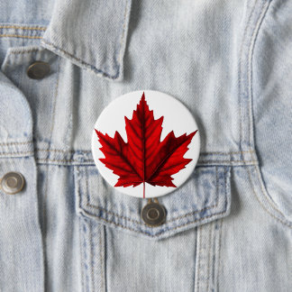 Beautiful Autumn Maple Leaf 3 Inch Round Button
