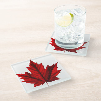 Beautiful Autumn Maple Leaf Glass Coaster