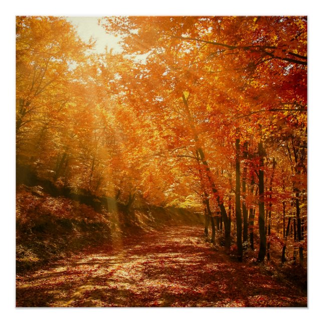 Beautiful autumn poster (Front)