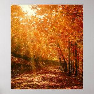 Beautiful autumn poster