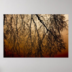 Beautiful Autumn Sunrise behind leafless Trees Poster
