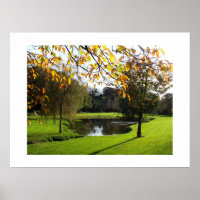 Beautiful autumnal scene in Jersey