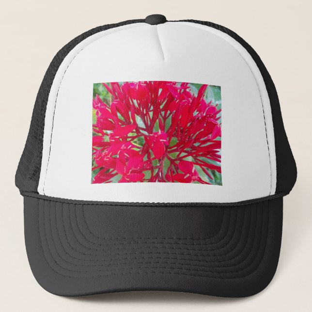 Beautiful Awesome Red flowers Trucker Hat (Front)