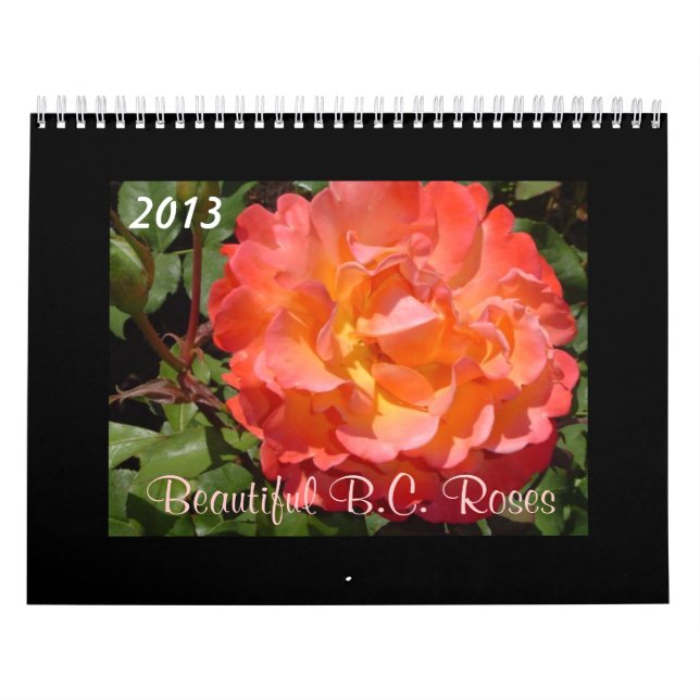 Beautiful B.C. Roses 2013 Calendar (Cover)
